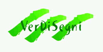 VerDiSegni
